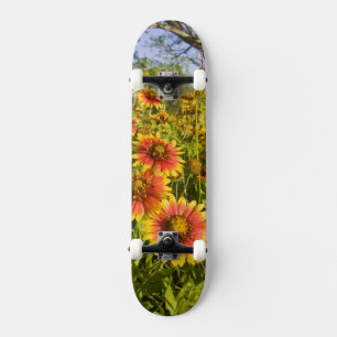 Vuurwielen Gaillardia pulchella) wilde bloemen Persoonlijk Skateboard