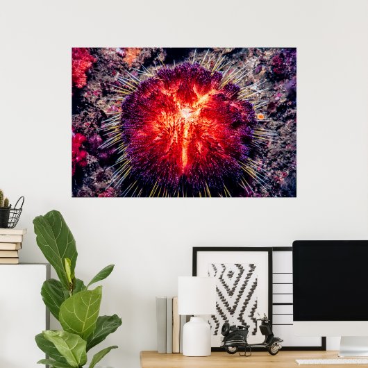 vuurzee-egel poster (Thuiskantoor)