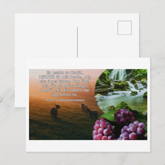 Vykort - Psalm 23: 1-2 Briefkaart (Voorkant / Achterkant)
