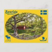 Vykort — Sverige Briefkaart (Voorkant)