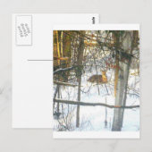 Wґ ḯ tℯ ♏ ℴ ti Þ αℯ Briefkaart (Voorkant / Achterkant)