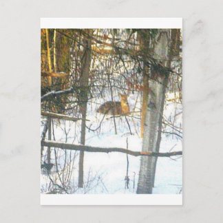 Wґ ḯ tℯ ♏ ℴ ti Þ αℯ Briefkaart