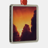 w bij weer metalen ornament (Rechts)