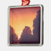w bij weer metalen ornament (Links)
