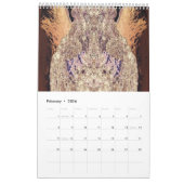 W i z a r d kalender (Feb 2026)