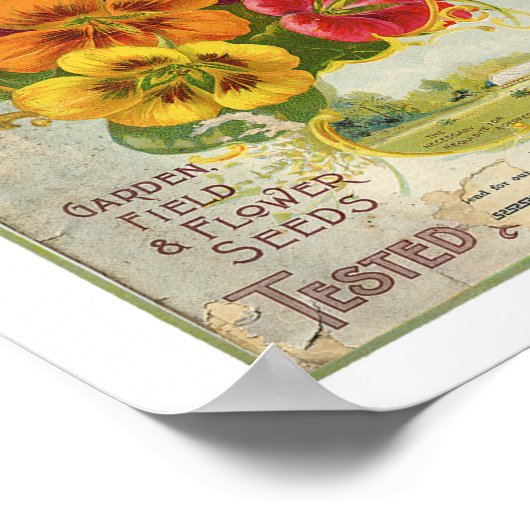 W.W. Barnard & Co. Garden, Field & Flower Seed 189 Poster (Hoek)