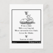 W was een walvis briefkaart (Voorkant)