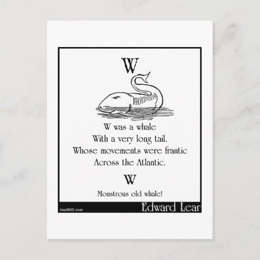 W was een walvis briefkaart (Voorkant)