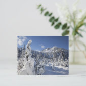 WA, Alpiene meren Wilderheid, Sneeuwmeer Briefkaart (Staand voorkant)