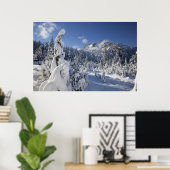 WA, Alpiene meren Wilderheid, Sneeuwmeer Poster (Thuiskantoor)