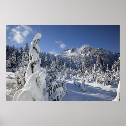 WA, Alpiene meren Wilderheid, Sneeuwmeer Poster (Voorkant)