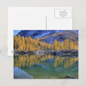 WA, alpiene meren Wilderness, Enchantage 5 Briefkaart (Voorkant / Achterkant)