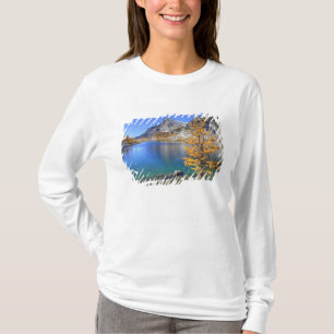 WA, Alpine Lakes Wilderness, Enchantment 4 T-shirt