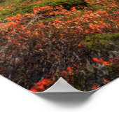 WA, Alpine Lakes Wilderness, Gem Lake, met Poster (Hoek)
