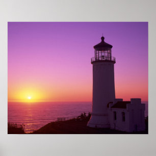 WA, Cape Disappointment State Park, North Head 2 Poster