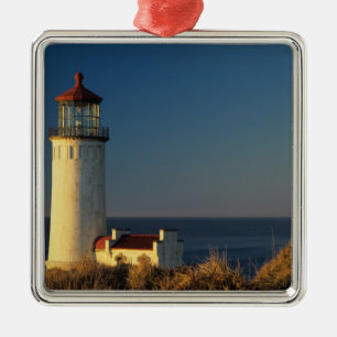 WA, Cape Disappointment State Park, North Head Metalen Ornament