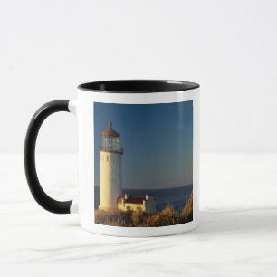 WA, Cape Disappointment State Park, North Head Mok
