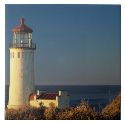 WA, Cape Disappointment State Park, North Head Tegeltje (Voorkant)