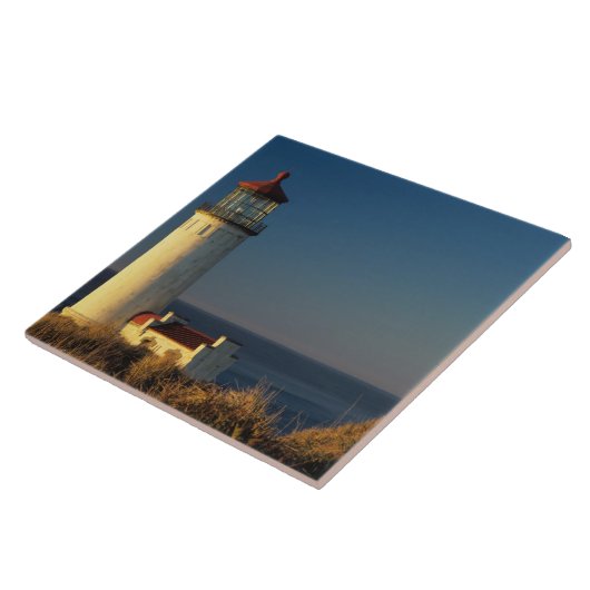 WA, Cape Diseption State Park, North Head Tegeltje (Zijkant)