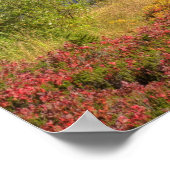 WA, Heather Meadows Recreation Area, MT2 Poster (Hoek)