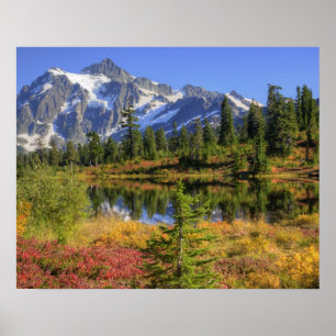 WA, Heather Meadows Recreation Area, MT2 Poster