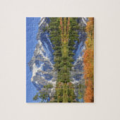 WA, Heather Meadows Recreation Area, Mt. Legpuzzel (Verticaal)