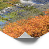 WA, Heather Meadows Recreation Area, Mt. Poster (Hoek)