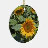 WA, Kittitas County, Zonnebloemveld Keramisch Ornament (Rechts)