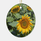 WA, Kittitas County, Zonnebloemveld Keramisch Ornament (Links)