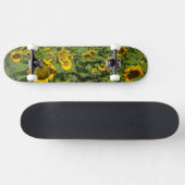 WA, Kittitas County, Zonnebloemveld Skateboard (Horizontaal)