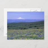 WA, Klickitat County, Dalles Mountain Ranch Briefkaart (Voorkant / Achterkant)