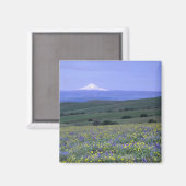 WA, Klickitat County, Dalles Mountain Ranch, Magneet (Voorkant / Achterkant)
