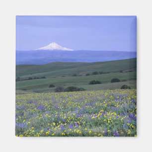 WA, Klickitat County, Dalles Mountain Ranch, Magneet