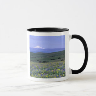 WA, Klickitat County, Dalles Mountain Ranch, Mok