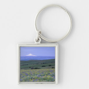 WA, Klickitat County, Dalles Mountain Ranch, Sleutelhanger