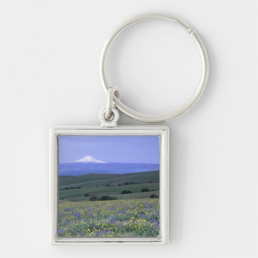 WA, Klickitat County, Dalles Mountain Ranch, Sleutelhanger (Voorkant)