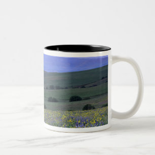 WA, Klickitat County, Dalles Mountain Ranch, Tweekleurige Koffiemok