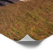 WA, Maury Island, Point Robinson Lighthouse, Poster (Hoek)