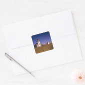 WA, Maury Island, Point Robinson Lighthouse, Vierkante Sticker (Envelop)