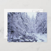 WA, Mount Baker-Snoqualmie National Forest, Briefkaart (Voorkant / Achterkant)
