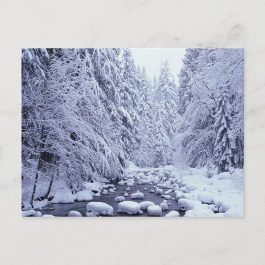 WA, Mount Baker-Snoqualmie National Forest, Briefkaart (Voorkant)