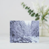 WA, Mount Baker-Snoqualmie National Forest, Briefkaart (Staand voorkant)