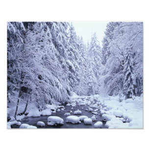 WA, Mount Baker-Snoqualmie National Forest, Foto Afdruk