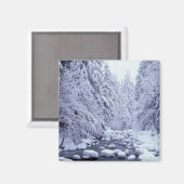 WA, Mount Baker-Snoqualmie National Forest, Magneet (Voorkant / Achterkant)