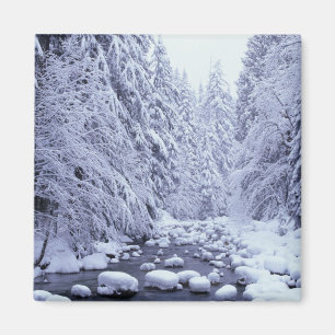 WA, Mount Baker-Snoqualmie National Forest, Magneet