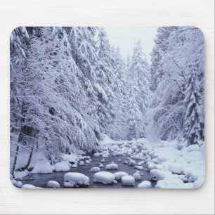 WA, Mount Baker-Snoqualmie National Forest, Muismat