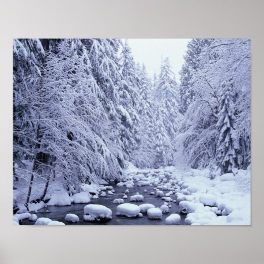 WA, Mount Baker-Snoqualmie National Forest, Poster (Voorkant)
