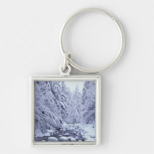 WA, Mount Baker-Snoqualmie National Forest, Sleutelhanger