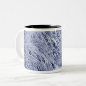 WA, Mount Baker-Snoqualmie National Forest, Tweekleurige Koffiemok (Voorkant links)