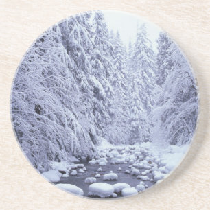 WA, Mount Baker-Snoqualmie National Forest, Zandsteen Onderzetter